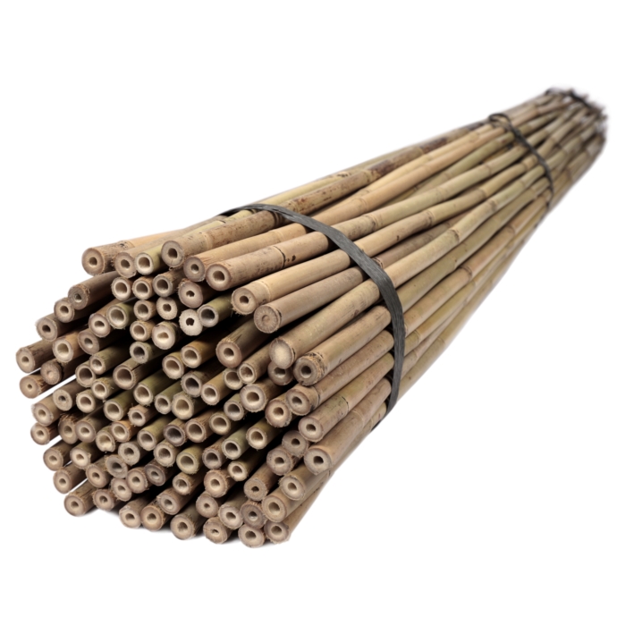 Tyczki bambusowe 180 cm 16/18 mm - 50 szt.