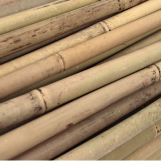 Tyczki bambusowe 180 cm 16/18 mm - 50 szt.