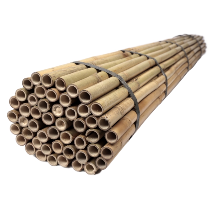 Tyczki bambusowe 150 cm 20/22 mm - 50 szt.
