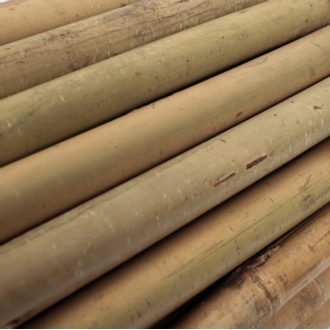 Tyczki bambusowe 240 cm 24/26 mm - 25 szt.
