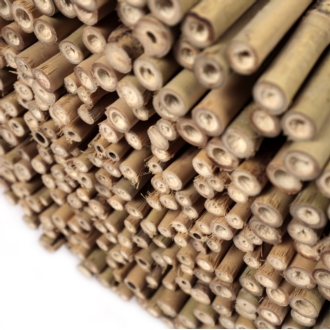 Tyczki bambusowe 60 cm 8/10 mm - 500 szt.