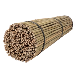Tyczki bambusowe 45 cm 8/10 mm - 500szt.